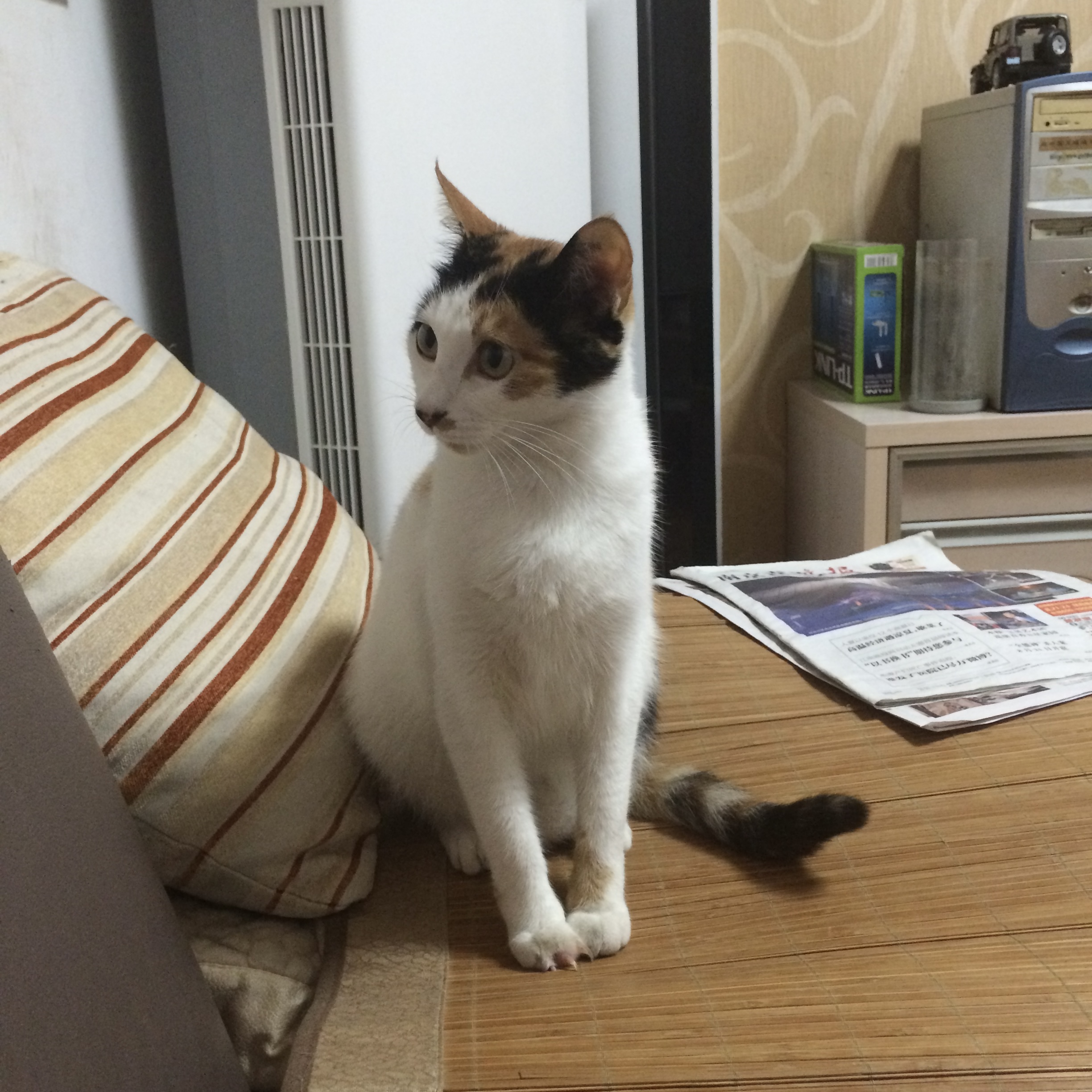 莉莉