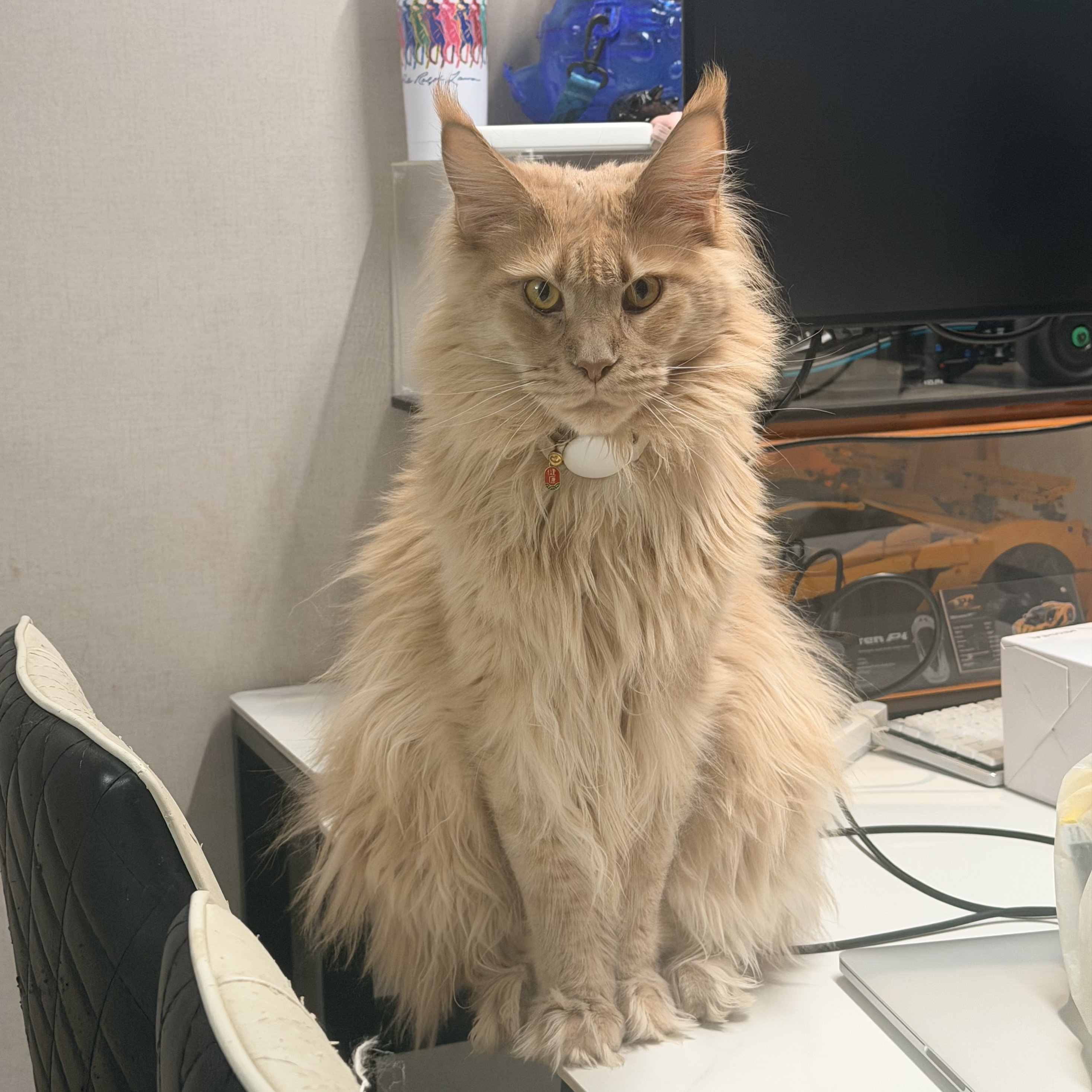 皮卡鸡